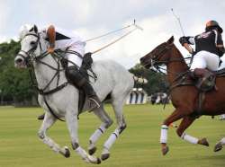 Polo in Argentina 
