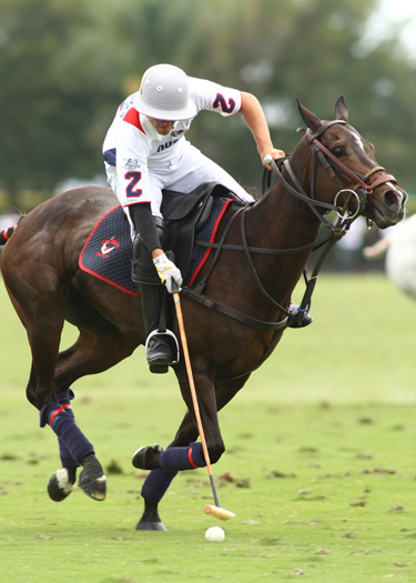 photosorchardhillvs lechuza polo magazine alex pacheco 5