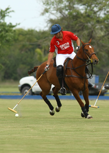 polo magazine top 12 goal polo tournament polo top alex pacheco polo club international 4
