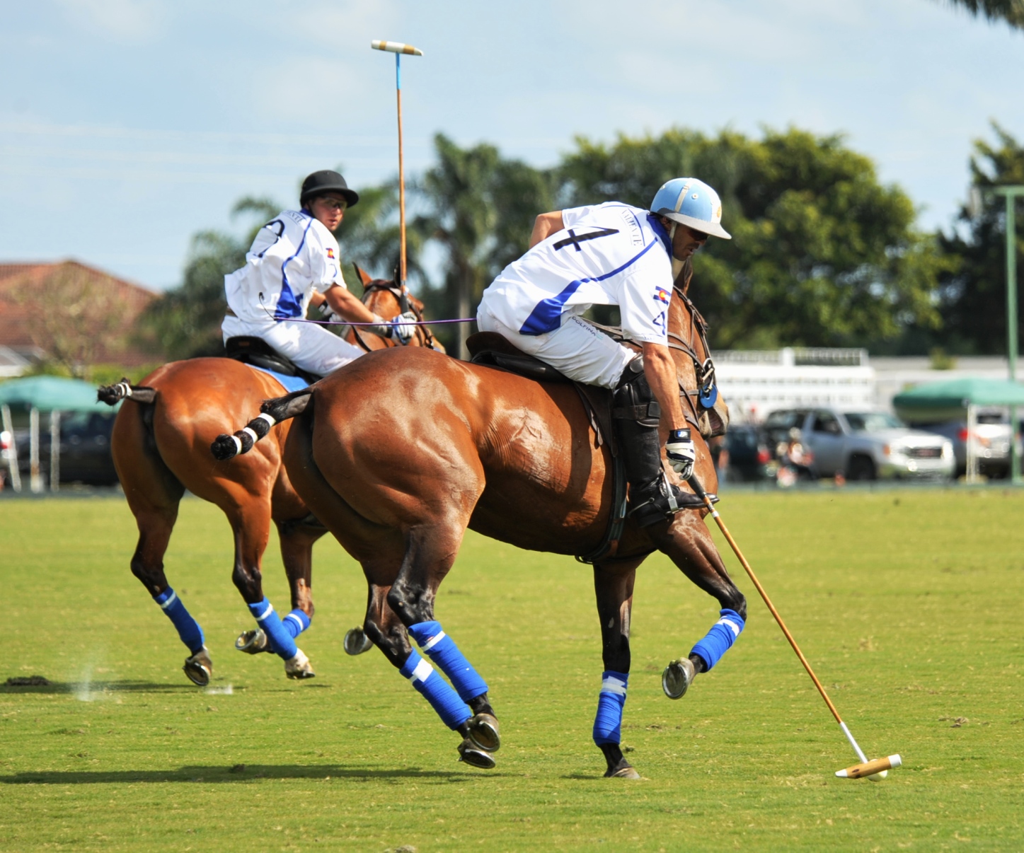 polo top tournament usa ami dela mer 3