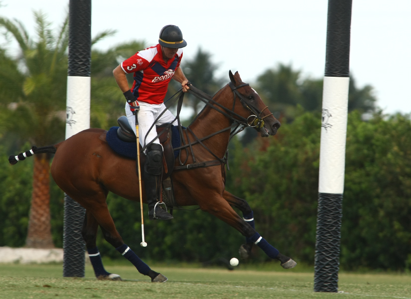 POLO USPA Sun Cup-photos by Alex Pacheco 20