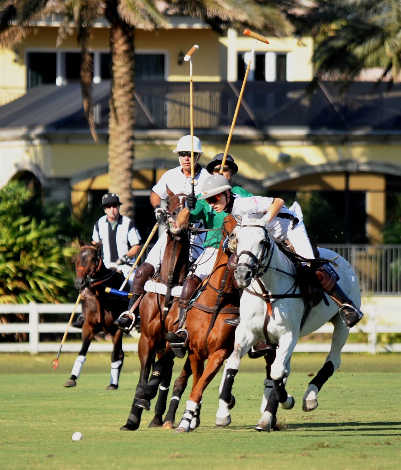 polo ami de la mer DSC 4069