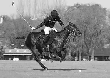 12. Facundo Pieres-web